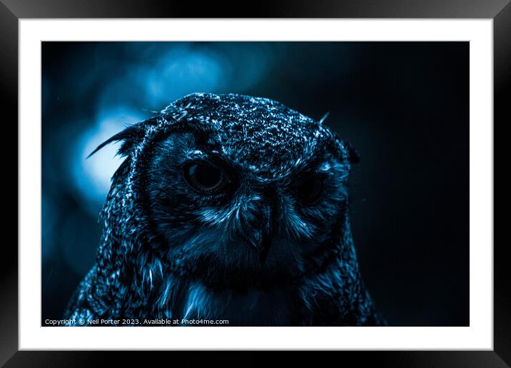 Twit Twoo Framed Mounted Print by Neil Porter