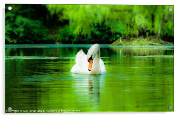 Swan Lake Acrylic by Neil Porter