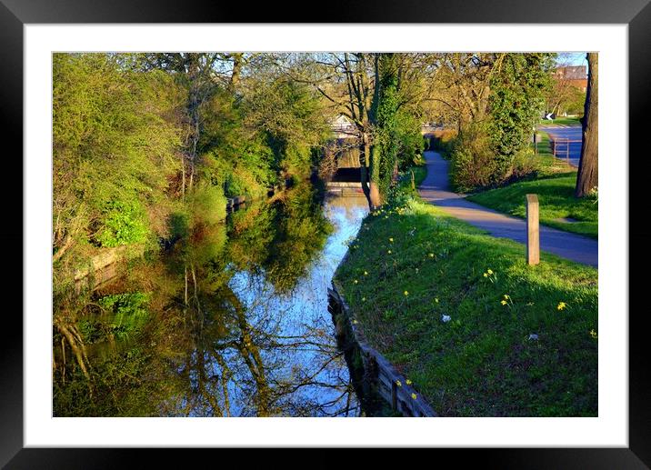 Ripon Canal Framed Mounted Print by Steve Smith