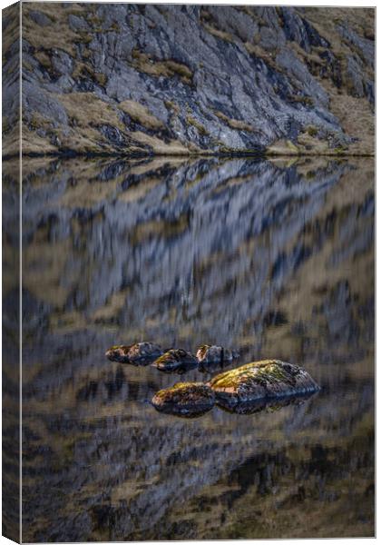 Ogwen Hippos on the Glyderau, Snowdonia Canvas Print by Liam Neon