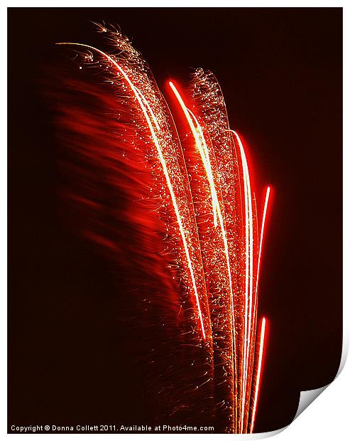 Red Streaks Print by Donna Collett