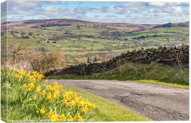 Towards Blackton from Bail Hill, Mickleton, Teesdale Canvas Print by Richard Laidler
