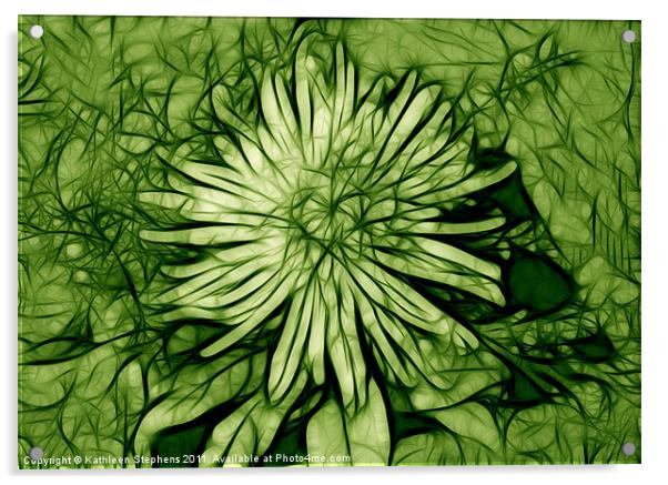 Spider Mum in Green Acrylic by Kathleen Stephens