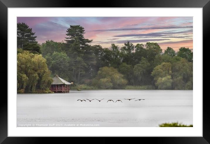 Wild Geese Framed Mounted Print by Thomson Duff