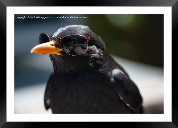 A blackbird wearing sunglasses created with generative AI techno Framed Mounted Print by Michael Piepgras