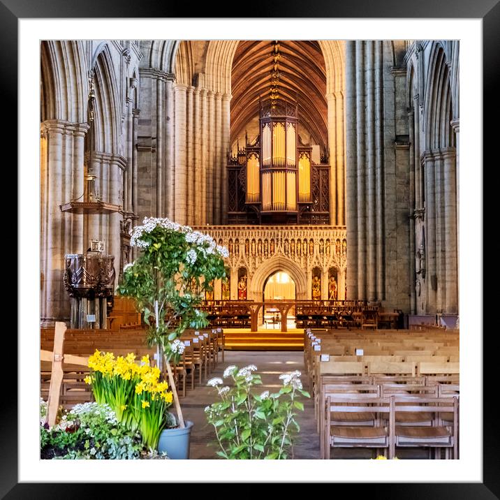Ripon Cathedral on Easter Weekend Framed Mounted Print by Tim Hill