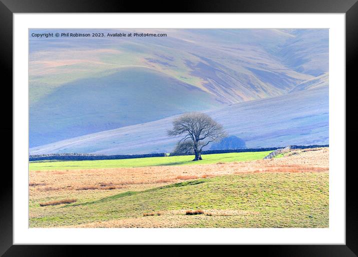 Lake District Tree Framed Mounted Print by Phil Robinson