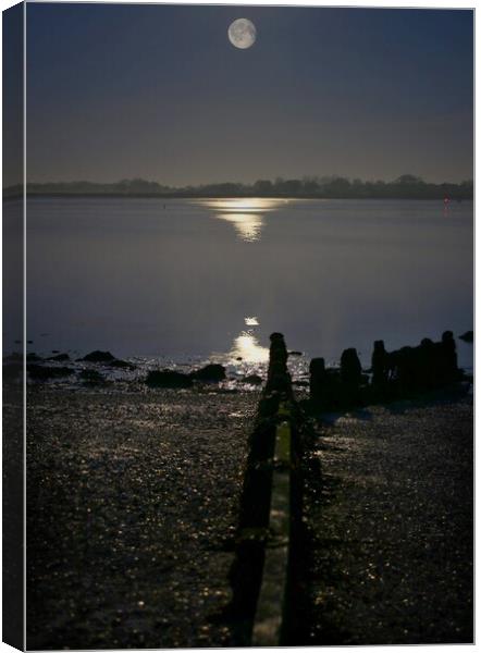 Moon  down over Brightlingsea Creek  Canvas Print by Tony lopez