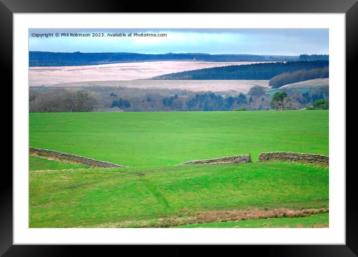 Dry stone wall, Cumbria Framed Mounted Print by Phil Robinson