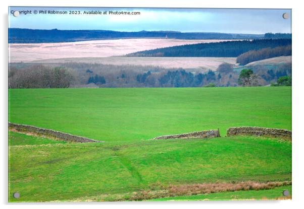 Dry stone wall, Cumbria Acrylic by Phil Robinson