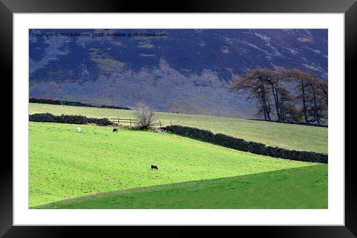 Lake District fells and walls Framed Mounted Print by Phil Robinson