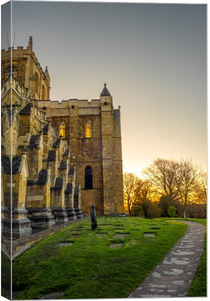 Ripon Cathedral Sunrise Canvas Print by Steve Smith