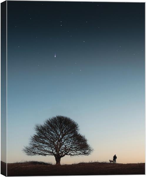 Shooting Star Canvas Print by Mark Jones