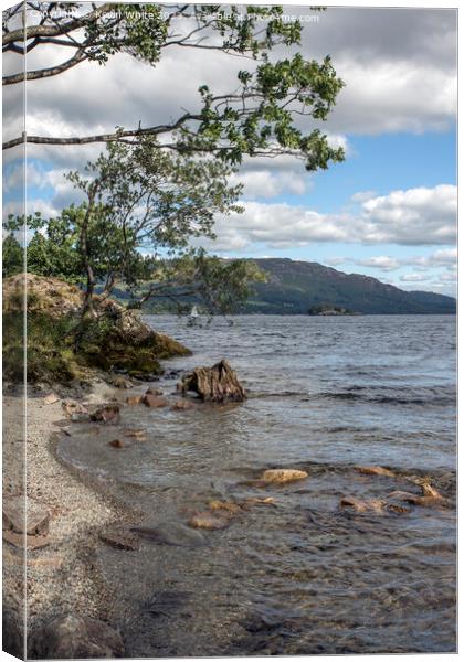 Upright view of Ullswater Canvas Print by Kevin White