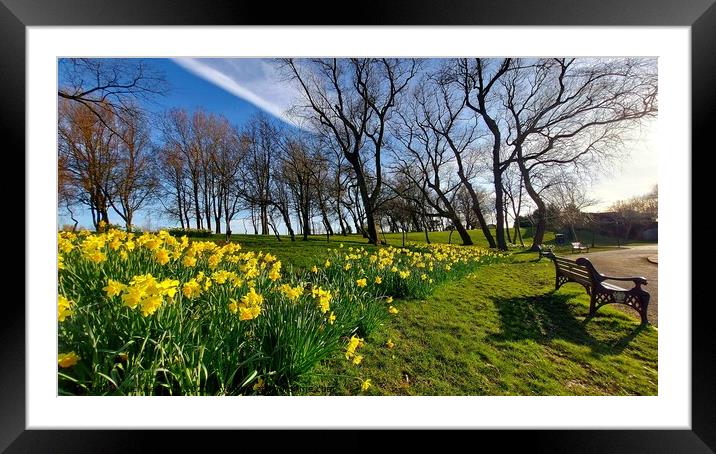Stanley Park, Spring Framed Mounted Print by Michele Davis