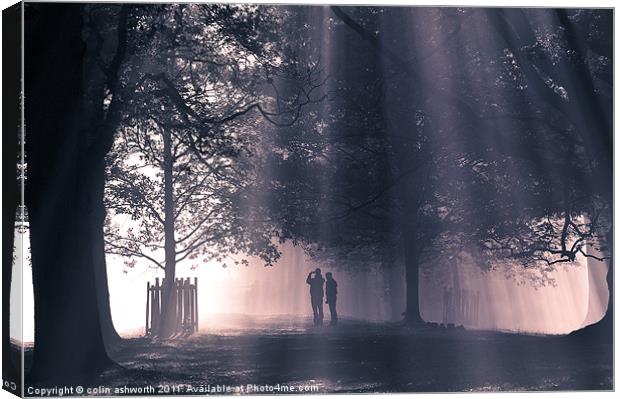 Into the Light 2 Canvas Print by colin ashworth