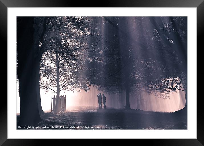 Into the Light 2 Framed Mounted Print by colin ashworth
