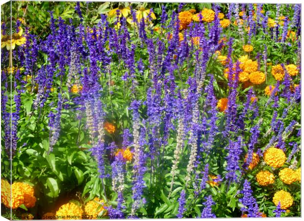 More purple  and yellow flowers Canvas Print by Stephanie Moore