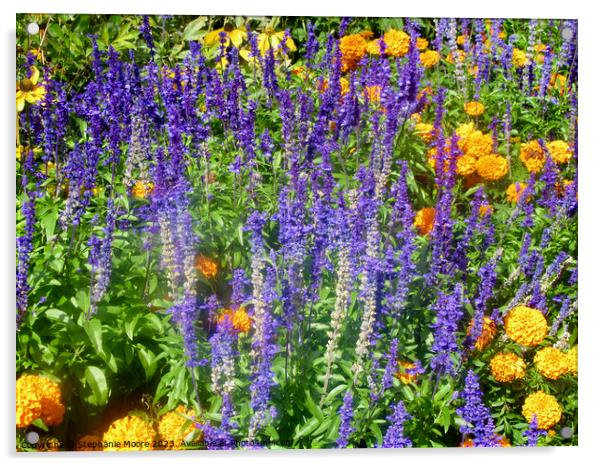 More purple  and yellow flowers Acrylic by Stephanie Moore