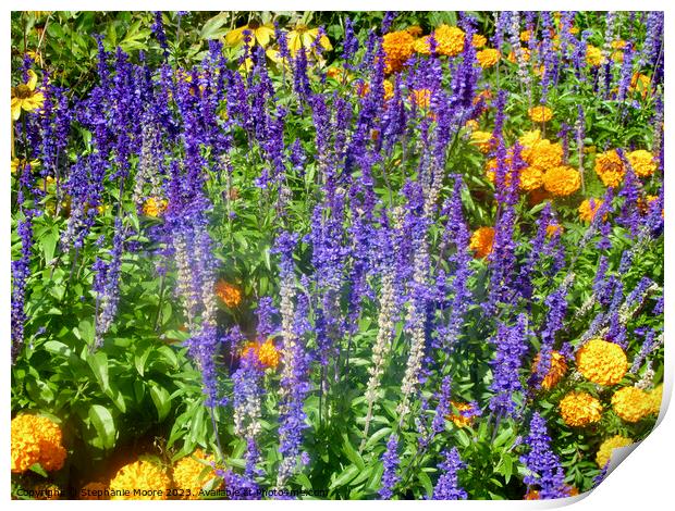 More purple  and yellow flowers Print by Stephanie Moore