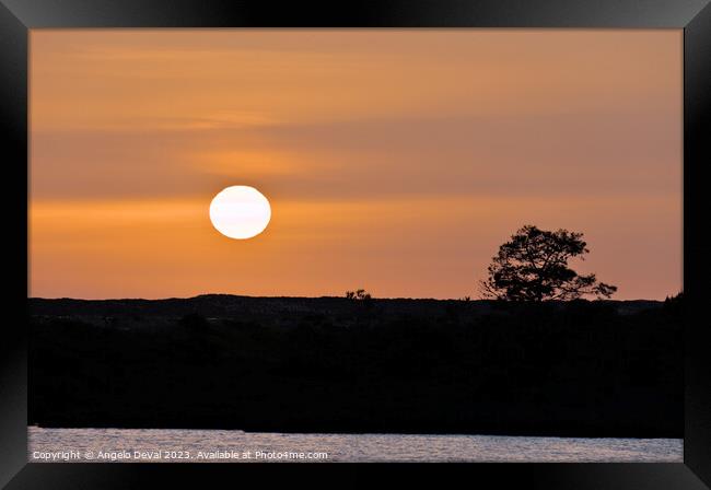 Sunset by Salinas in Faro Framed Print by Angelo DeVal