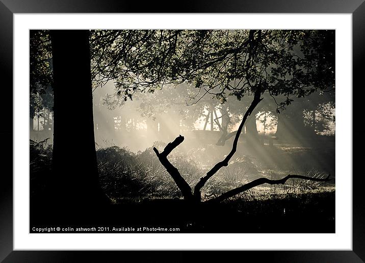 Into the Light 3 Framed Mounted Print by colin ashworth