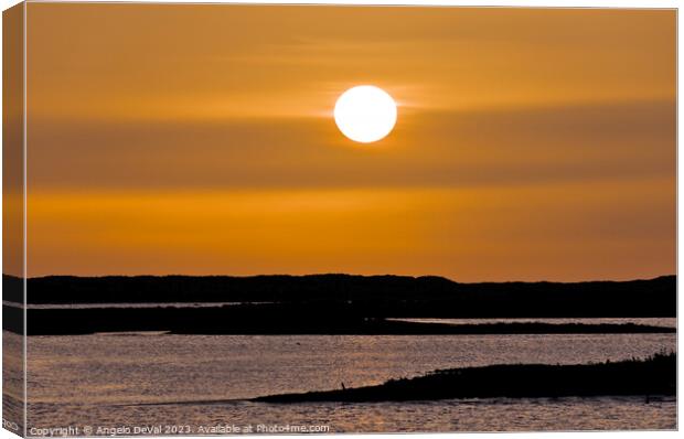Warm Sunset in Ria Formosa - Faro Canvas Print by Angelo DeVal