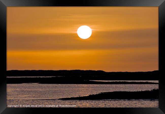 Warm Sunset in Ria Formosa - Faro Framed Print by Angelo DeVal