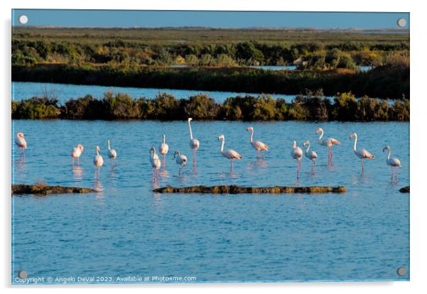Flamingos of Ria Formosa - Faro Acrylic by Angelo DeVal