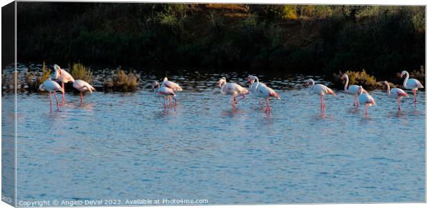 Flamingos Chilling in Ria Formosa - Faro Canvas Print by Angelo DeVal