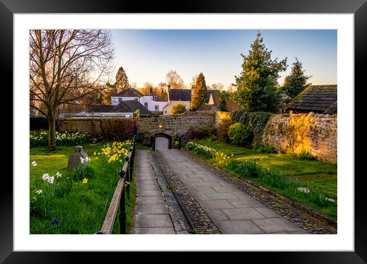 Ripon Cathedral Spring Flowers Framed Mounted Print by Steve Smith