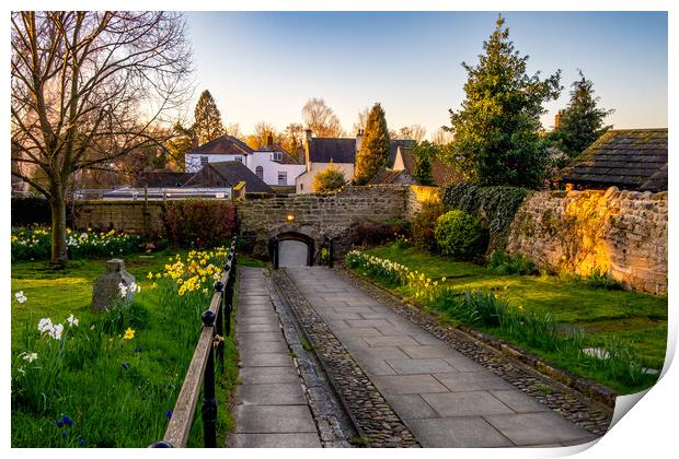 Ripon Cathedral Spring Flowers Print by Steve Smith