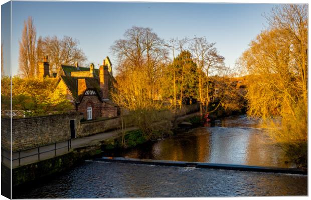 The River Ure Ripon Canvas Print by Steve Smith
