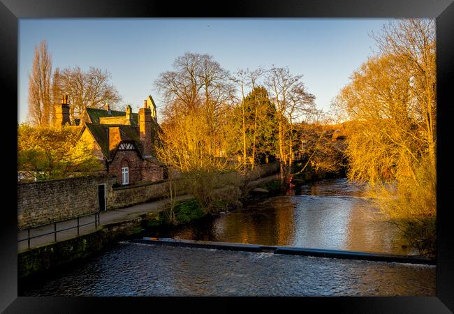 The River Ure Ripon Framed Print by Steve Smith