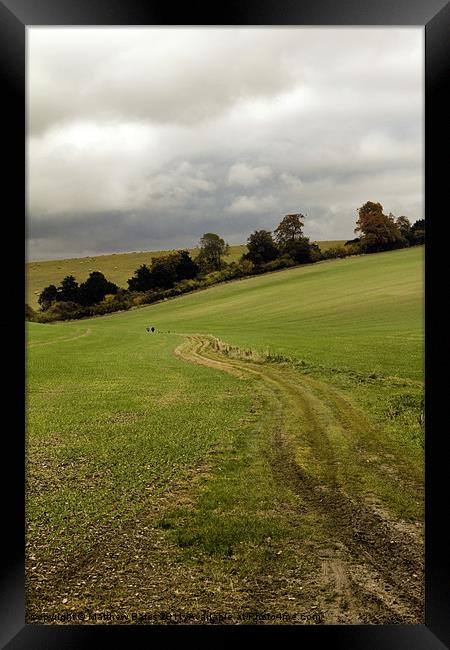 Winding track. Framed Print by Matthew Bates