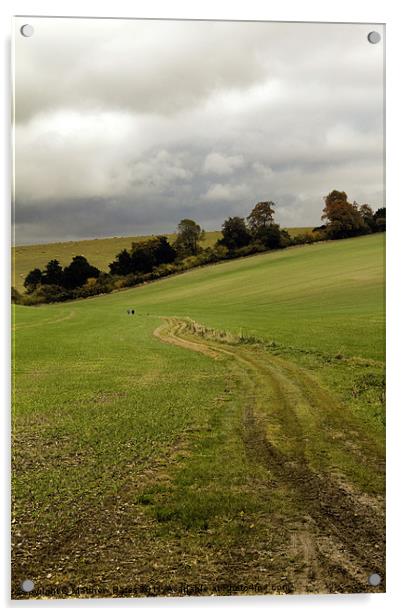 Winding track. Acrylic by Matthew Bates