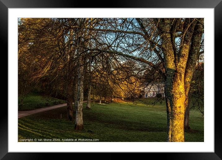 Serene Sunrise at Cockington Country Park Framed Mounted Print by Ian Stone