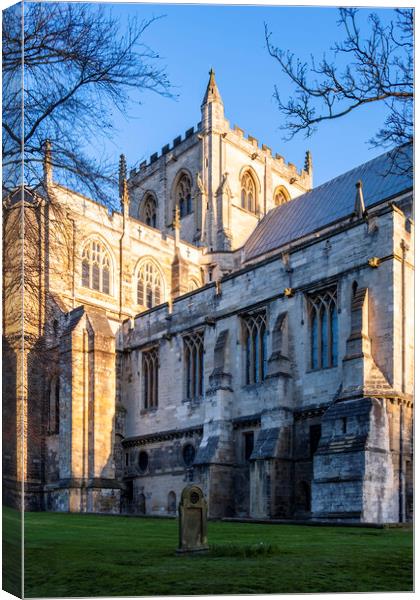 Ripon Cathedral North Yorkshire Canvas Print by Tim Hill