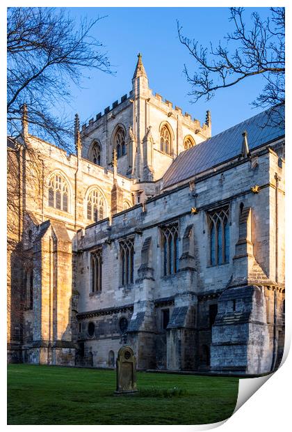 Ripon Cathedral North Yorkshire Print by Tim Hill