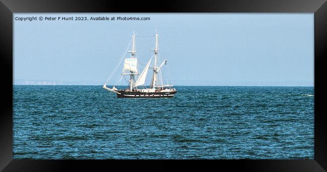 TS Royalist Coming Into Port 1 Framed Print by Peter F Hunt