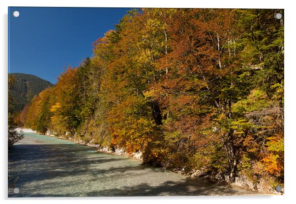 Fall colors in the alps Acrylic by Thomas Schaeffer