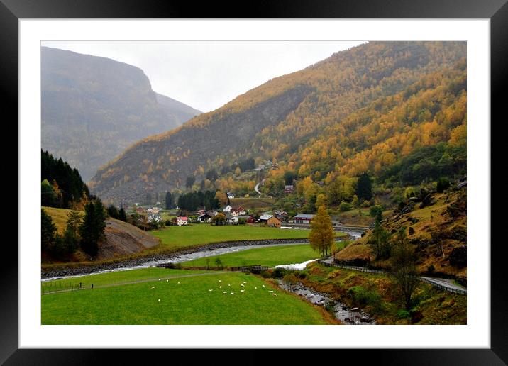 Flamsdalen Valley Flam Norway Scandinavia Framed Mounted Print by Andy Evans Photos
