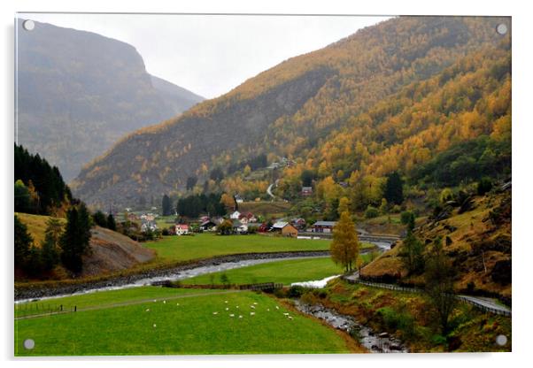 Flamsdalen Valley Flam Norway Scandinavia Acrylic by Andy Evans Photos