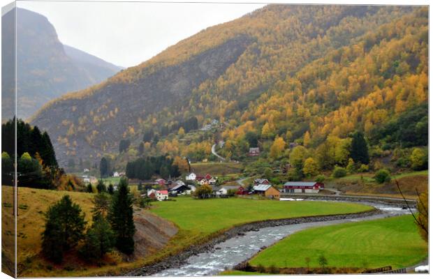 Flamsdalen Valley Flam Norway Scandinavia Canvas Print by Andy Evans Photos