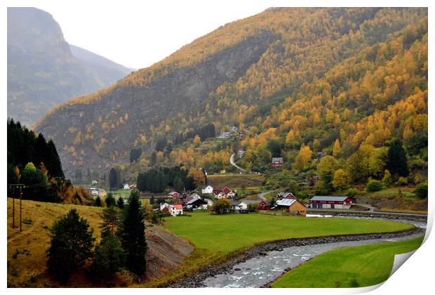 Flamsdalen Flam Valley Norway Scandinavia  Print by Andy Evans Photos