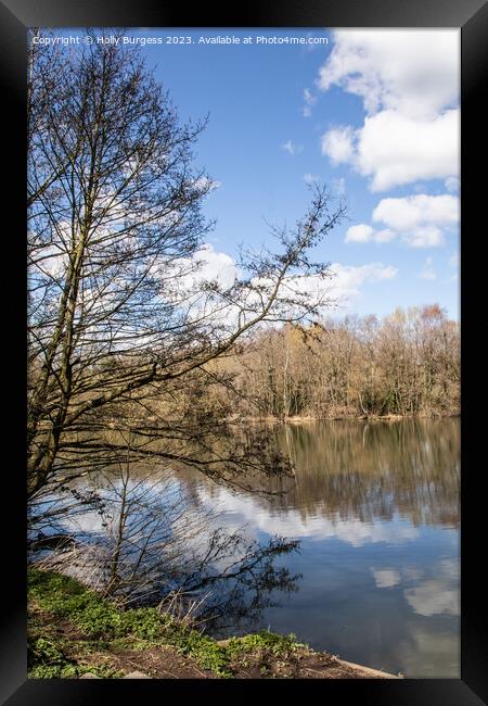 Summer day by the pond  Framed Print by Holly Burgess