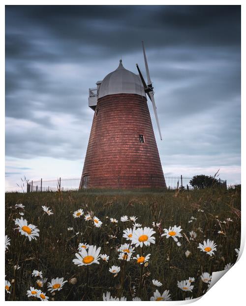 Halnaker Windmill Print by Mark Jones