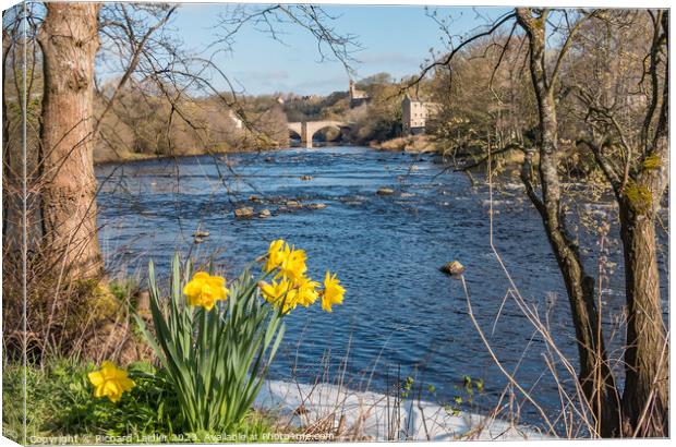 County Bridge and River Tees at Barnard Castle in Spring Canvas Print by Richard Laidler