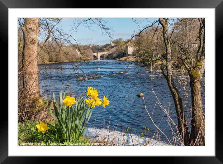 County Bridge and River Tees at Barnard Castle in Spring Framed Mounted Print by Richard Laidler