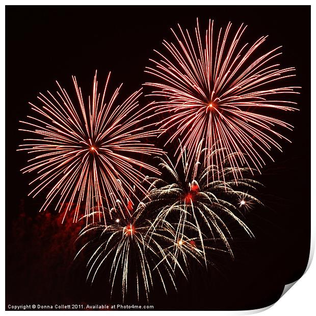 Red Bursts Print by Donna Collett